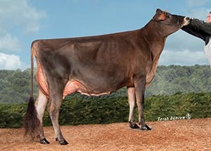 Avonlea Tequila Kanga-ET_11_15