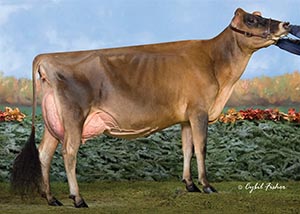Claessic Fields Vindicat Genie_2010
