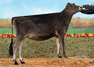 DKG Tequlia Lilac_11_15