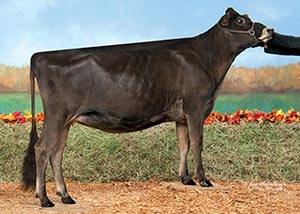 DKG Tequlia Lilac_11_16