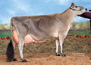 Dalemcee-J Counciller Tauntra_11_2012
