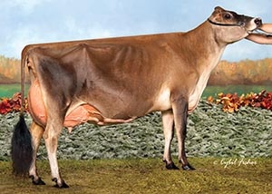 Discoverys Tequiila Jewelene_16