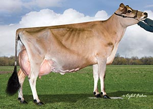 FREDESTEL LASER P NELLY BLY_2010