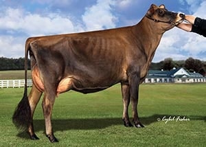 Fairvista Verbatim Sweet N Sassy_10_14