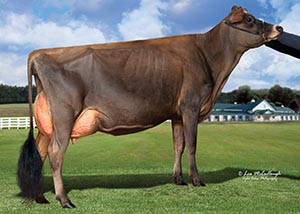 Fairvista Verbatim Sweet N Sassy_11_15