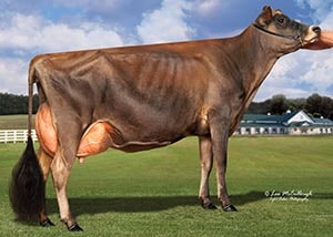 Fairvista Verbatim Sweet N Sassy_11_16