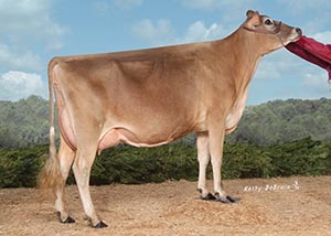 Graybill Harvey Cybil_13