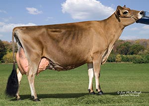 Indiana Veda_11-2010