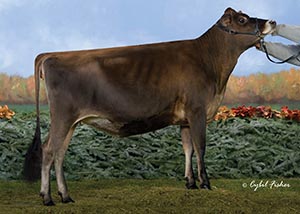 Kellogg-Bay Amedeo Gladys-ET