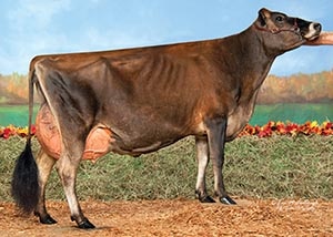 Kilgus Iatola Roweena_11_16