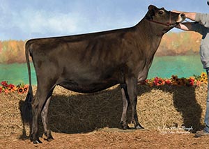 Kisst Excitation Jewel-ET