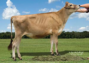 Milk-N-More-KCW Barbs Autumn