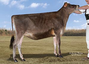 Milk-N-More-KCW Governor Diva