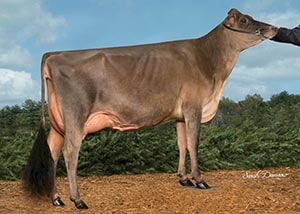 Ratliff Apple Jack Ansley-ET_17