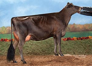 Ratliff Tequila Avelanche-ET_11_14