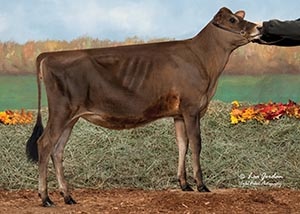 Red Dirt Premier Frosting_11_17