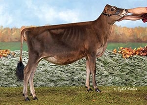 Schulte Bros Teq Euphoria-ET_16