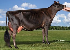 Stookey Holm Response Twinkle_17