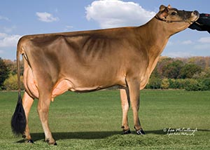Sunset Canyon DC Prize Belle-ET