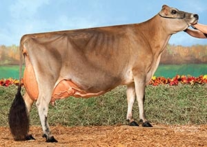 WF Tiger Roanna_11_16