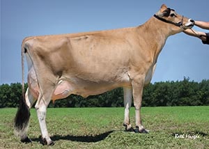 Fredestel Laser P Nelly Bly