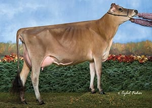 Hillacres Rhonda Ricotta