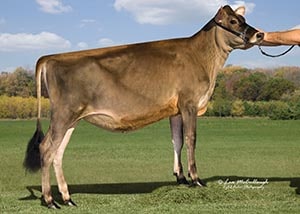 Lordan Aces Hi Kassie-ET