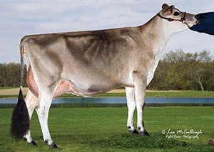 Milk-N-More Sultan Brynn-ET_2009