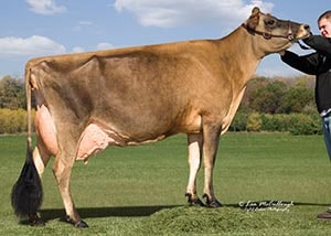 Smithden Vindication Vixen