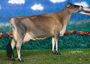 BJ Jade Miracle-ET