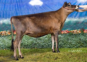 DF Sultan Burganne