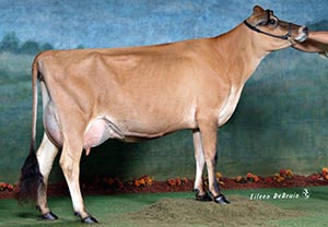 JJF Renaissance Deluxe Lilly