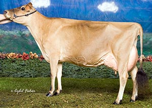 Lyon Duke Dutchy_Left Side