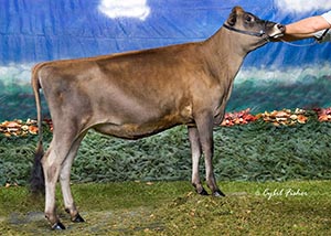 TJ CLassic Juris Bailey