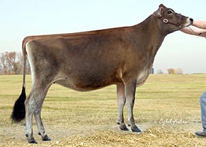 Trishas Spark Sage