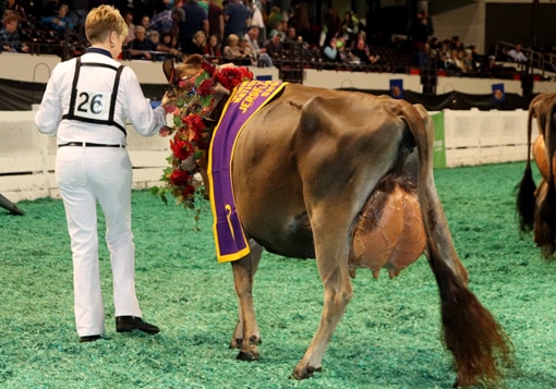 futurity-winner-side
