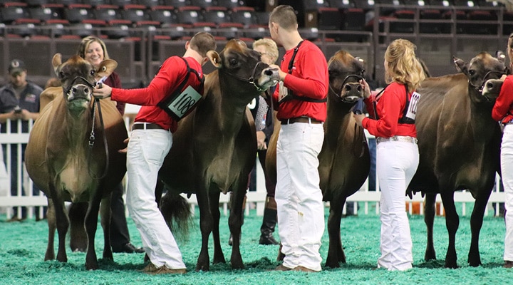 junior-3-junior-show-front-view