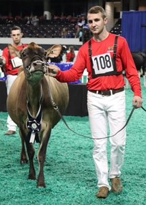 junior-3-junior-show-winner