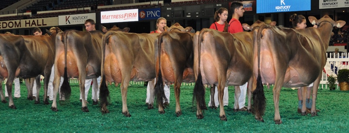 senior-2-junior-show-overview