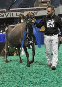 senior-2-open-winner-ribbon