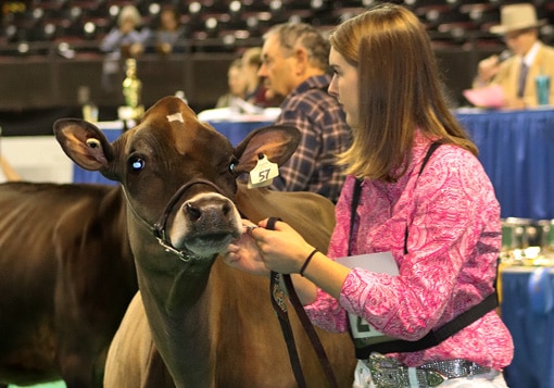 summer-yearling-open