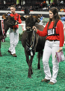 summer-yearlings-junior-winners