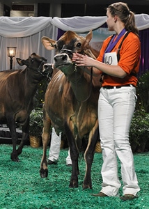 Futurity Junior Exhibitor