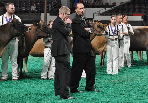 National Jersey Jug Futurity Judges