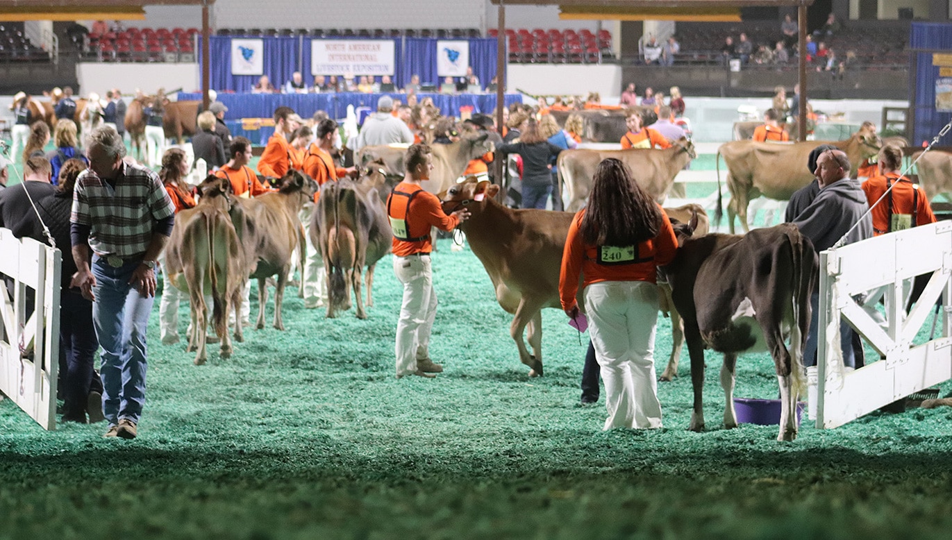 Showmanship