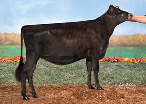 Flat-Rock-G-Intense