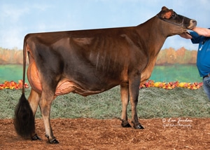SV-Velocity-Rosie-ET_11_20