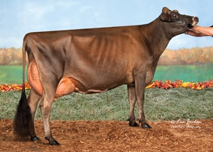 Seacord-Howacres-Tesla_11_20