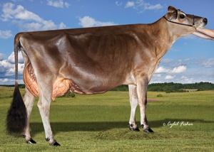 South-Mountain-Voltage-Radiant-ET_20