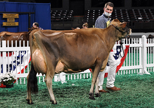 FiveYearCandid1 Five-Year-Old Class, All American Open Show